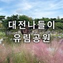 유림포토 | 대전 가을 가볼만한곳 유림공원 솔직후기 핑크뮬리 주말나들이 분위기 좋은 커플데이트코스 추천