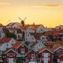 커피콩의하루 이미지