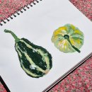 <b>색동</b><b>호박</b> - 오일파스텔