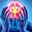 서울베스트의원 이미지