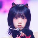 네모네모 이미지