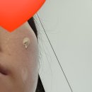 삼죽특수가스 이미지