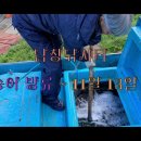 남창낚시터 이미지