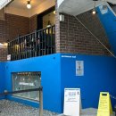 금비디오 이미지