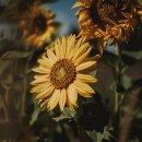 [국비지원] 조경기능사 필기 이미지