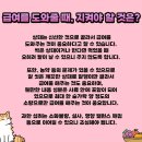 181. 고양이 과일 섭취 가능한 것! 이미지