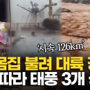 태풍