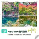 이마트24태백황지점 | [강원/태백] 낙동강발원지 황지연못 _ 11월 태백 가볼만한곳 단풍명소