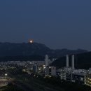 대선농장 | 임신 26주부터 28주 일상 증상 배크기 몸무게 변화