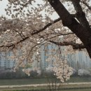 투썸플레이스가산대성디폴리스점