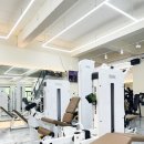 맥시멈짐 이미지