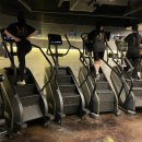 미래휘트니스 | 강남역 헬스장 MN휘트니스 강남역점 PT 주차 후기