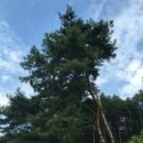 수성 민박 이미지