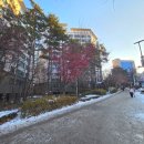 다인 | 서울 서촌 한옥스테이 다인당 후기 | 한옥 독채 에어비앤비 추천