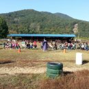 밀성초등학교 이미지