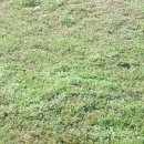 옥천농장 이미지