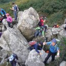 금수강산권역 이미지