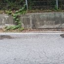 전일카센타 이미지