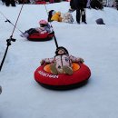 세븐일레븐 세종도담중앙점 | 경기도담뜰 눈밭놀이터 후기 경기도 눈썰매장 31개월 주말 현장발권