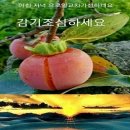 해피스타데이 이미지