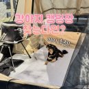 네오덴탈 | 강아지랑 두 번째 차박 (아워포레스트 후기)