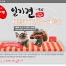 주식회사 코리아펫푸드 이미지