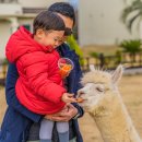 조천농장 이미지