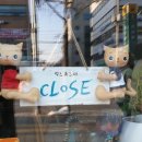 별이와콩이 이미지