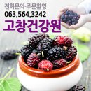 고창  건강원 이미지