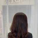 샴푸보이 글로리아