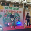 풍기토종인삼시장 이미지