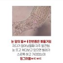 으뜸플러스안경원 이미지