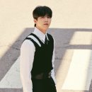 서울 베스트 동물병원 이미지