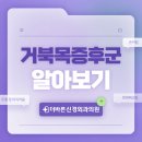 더바른신경외과의원 네이버블로그