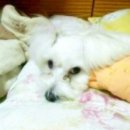 노바세탁소 이미지