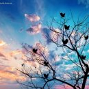 바로광고디자인