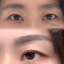 율하브로우눈썹&속눈썹