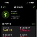 왓쇼이켄 이미지