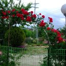 전원민박 이미지