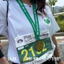 초보러너의 2024 동성제약 도봉마라톤 10K 완주 후기