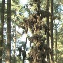 나비초등학교 이미지