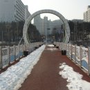 하소교 Daum카페