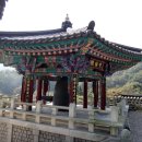 강내이불