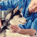 제일종합동물병원 이미지