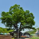 평지리마을회관 이미지