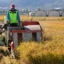 영농조합법인 대청 이미지