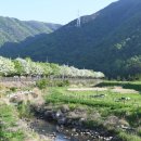 밀양댐문화관 이미지