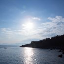 남해어시장 이미지