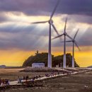 바다, 생명을 담다 이미지