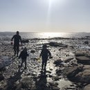 바다애오토캠핑장 이미지